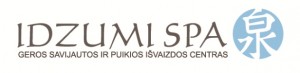 IDZUMI LOGO.cdr