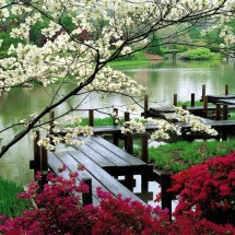 Japanese-Garden-Wallpaper-Nature-Wallpapers-8269-1920x1200PX-japanese-garden-wallpaper-desktop--740x530