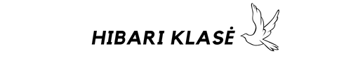TSURU KLASĖ