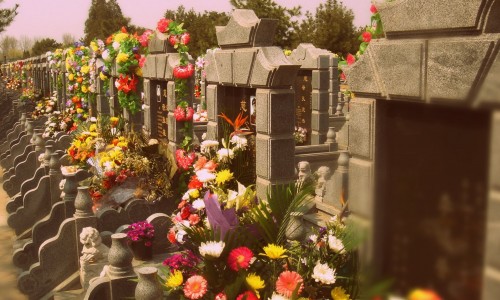 kapų lankymo diena-001