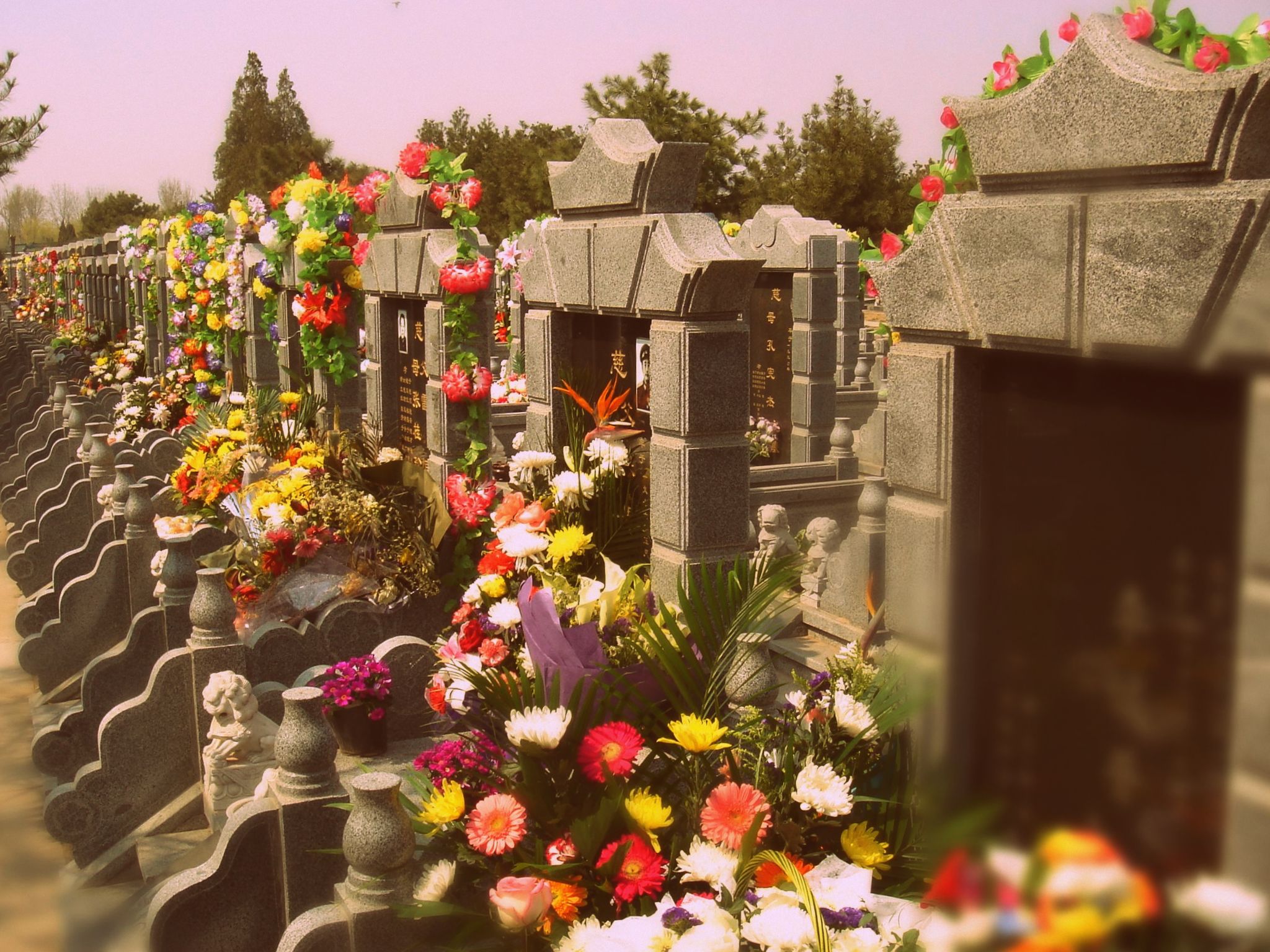 kapų lankymo diena-001